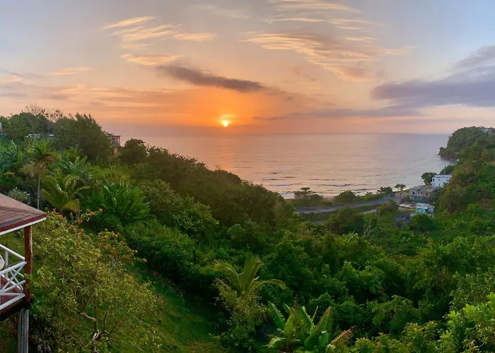 I View - In Long Bay
